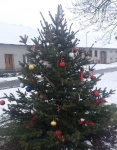 Rozsvícení vánočního stromu, betlém